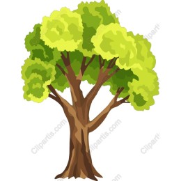 Lush Green Tree