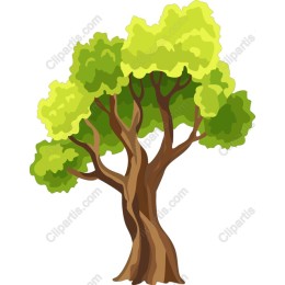 Vibrant Tree