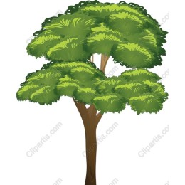 Vibrant Lush Green Tree