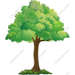 Lush Green Tree