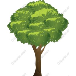 Lush Green Tree