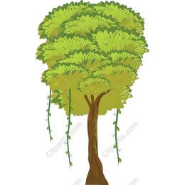 Vibrant Lush Green Tree