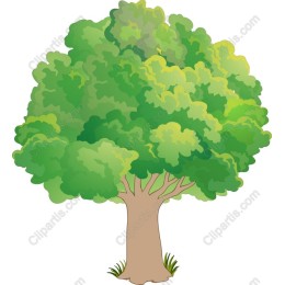 Lush Green Tree