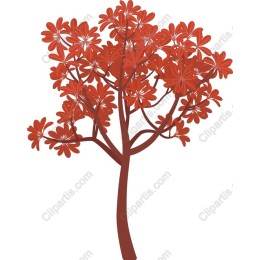 Red Blossom Tree