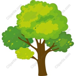 Vibrant Green Tree