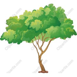 Vibrant Green Tree