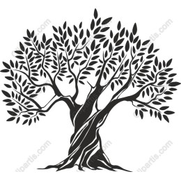Majestic Tree