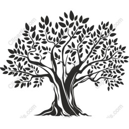 Majestic Tree