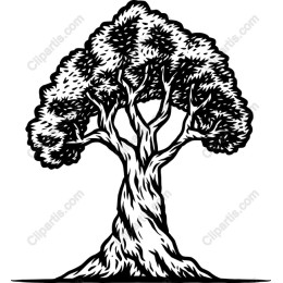 Elegant Tree (/)
