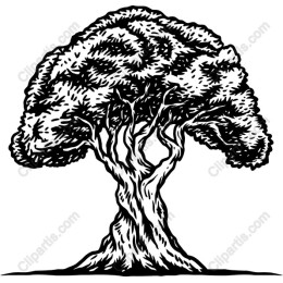 Majestic Tree