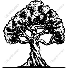 Elegant Black and White Tree