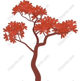 Stunning Red Tree