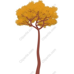 Autumn Yellow-Leaved Tree
