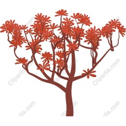 Vibrant Autumn Tree