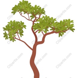 Elegant Tree