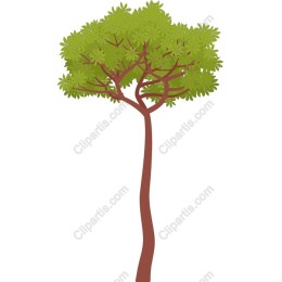 Lush Green Tree
