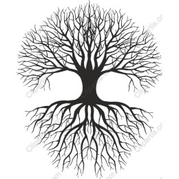 Majestic Tree
