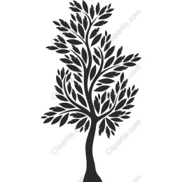 Black Tree