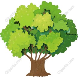 Lush Green Tree