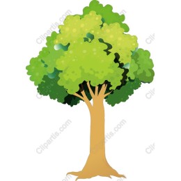 Lush Green Tree