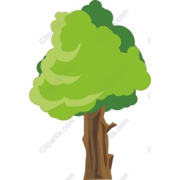 Vibrant Green Tree
