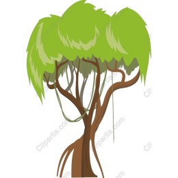 Lush Green Tree