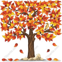 Autumn Tree