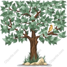 Vibrant Tree & Bird