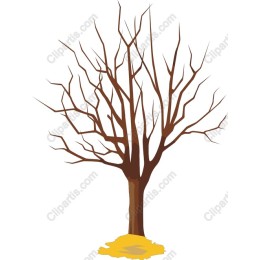 Bare Tree