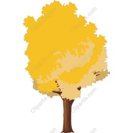 Luminous Yellow Tree