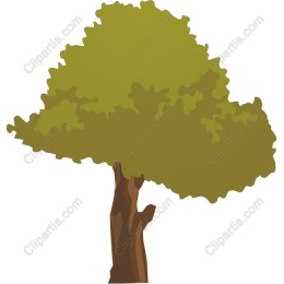 Lush Tree