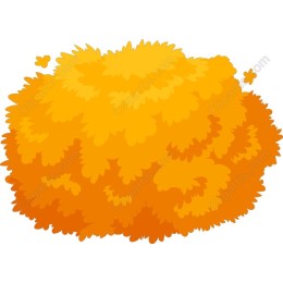 Sunlit Orange Bush