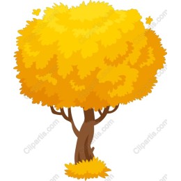 Vibrant Autumn Tree