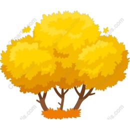 Golden Autumn Bush