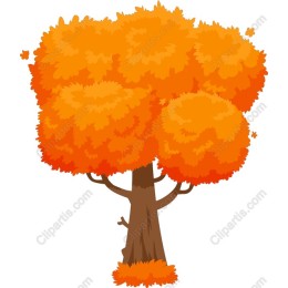 Vibrant Orange Tree
