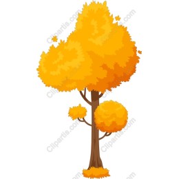 Autumn Vibrancy Tree