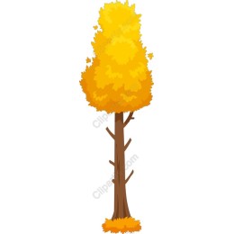 Golden Autumn Tree