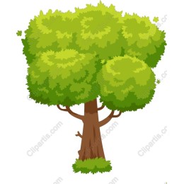 Lush Green Tree