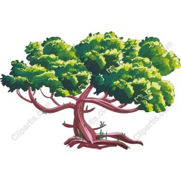 Vibrant Tree