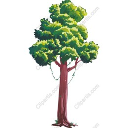 Lush Green Tree