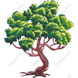 Lush Green Tree