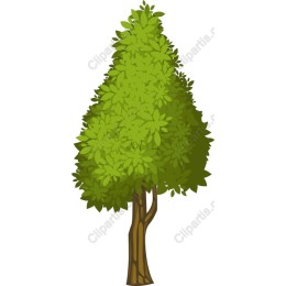 Vibrant Green Tree