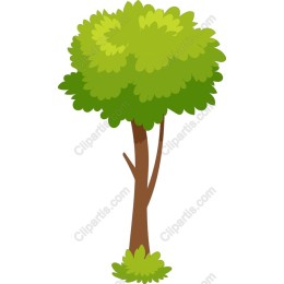 Lush Green Tree