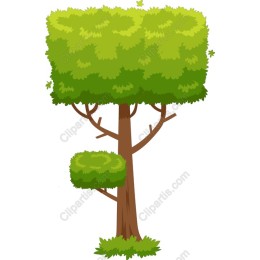 Lush Green Tree