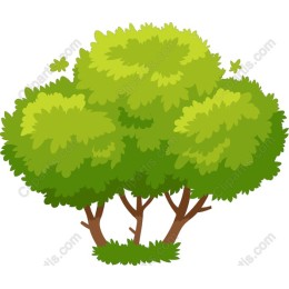 Lush Green Tree