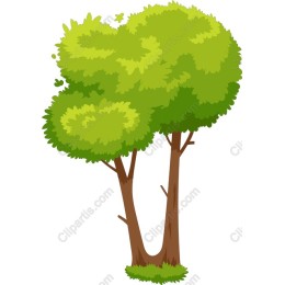 Lush Green Tree