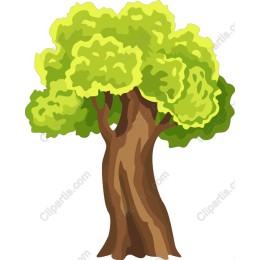 Lush Green Tree