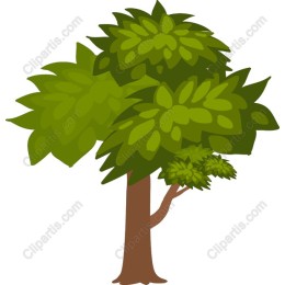 Vibrant Green Tree