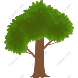 Lush Green Tree