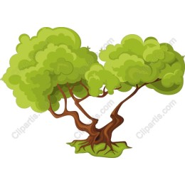 Lush Green Tree